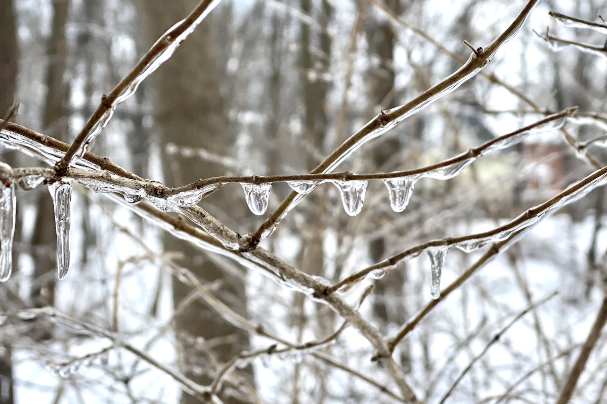 An Invitation to Savor the Last Frosty Moments of Winter