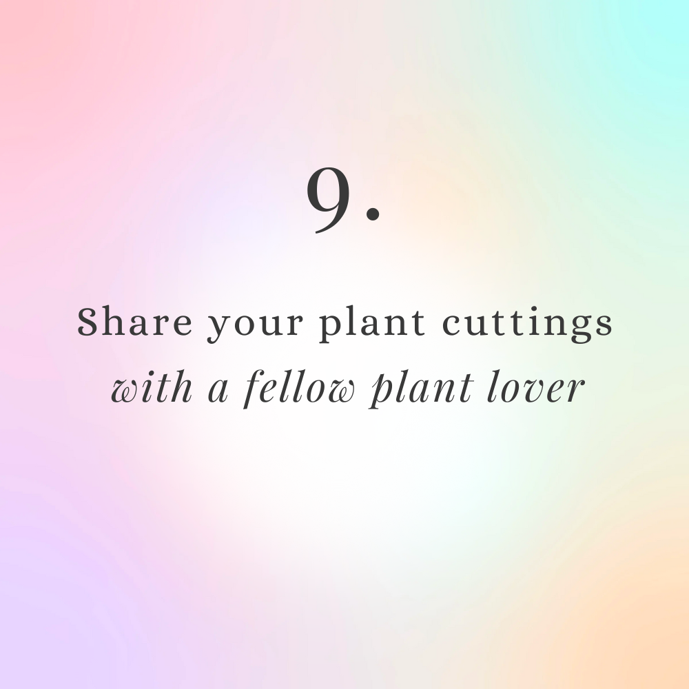 share your plant cuttings with a fellow plant lover